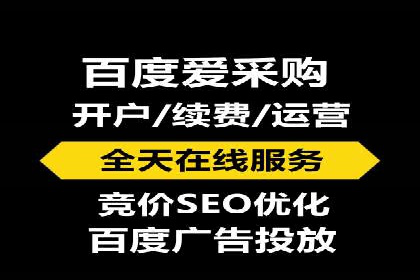 SEO与SEM优化案例：打造行业领先品牌